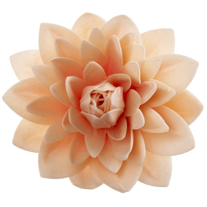 Dahlia 12,5 cm, ätbar dekoration - Dekora