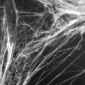 Vitt spindelnät Halloween