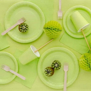 Papperstallrikar ljusgrön Ø23 cm - PartyDeco