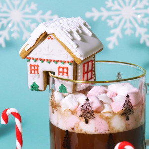 Utstickare mini pepparkakshus - PME