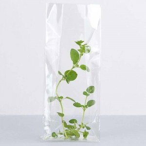 Cellofanpåsar, 100-pack - 10 x 7,5 x 20 cm