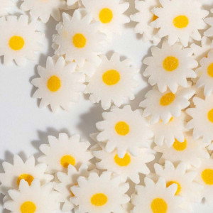 Strössel Daisy - PME